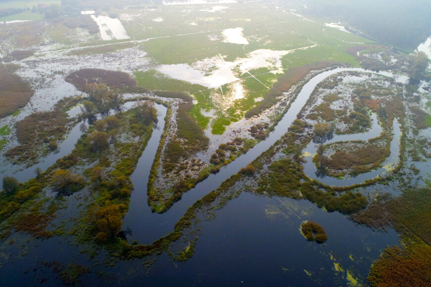 Odcinek specjalny „Polski z góry” z Pokrzydowa 26 lutego w Planete+