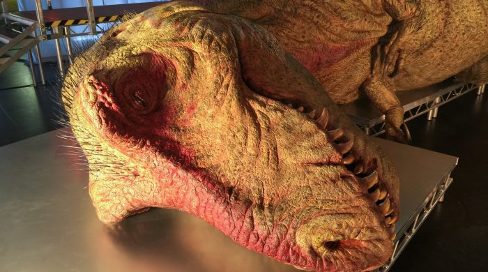Blok programowy o dinozaurach w National Geographic