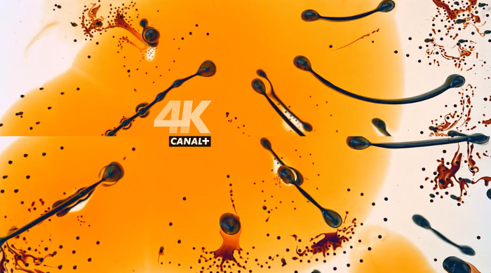 Ruszyła emisja Canal+ 4K Ultra HD
