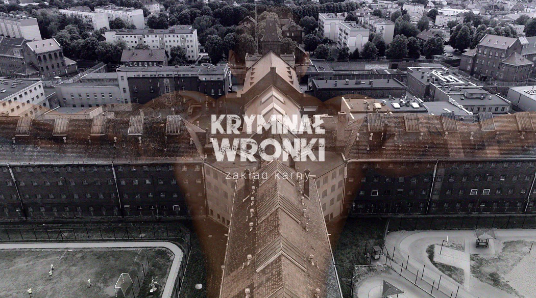 Krminał Wronki