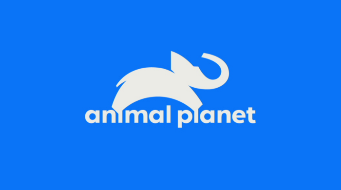 Animal Planet z nową identyfikacją wizualną