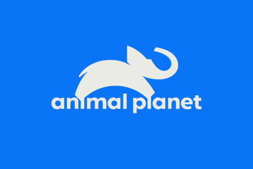 Animal Planet z nową identyfikacją wizualną