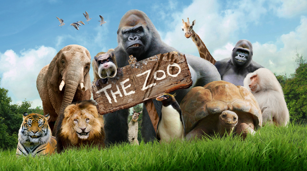 The Zoo