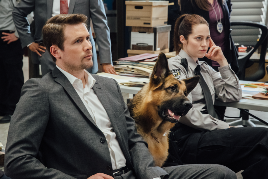 Serial „Hudson i Rex” od 3 października na kanale 13 Ulica