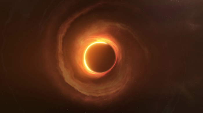 Poszukiwania czarnych dziur. Grudzień w Polsat Viasat Nature