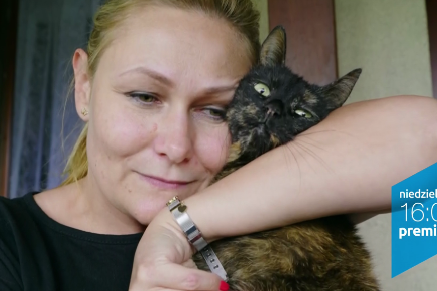 „Sekretne życie kotów” od 14 marca w TVP1