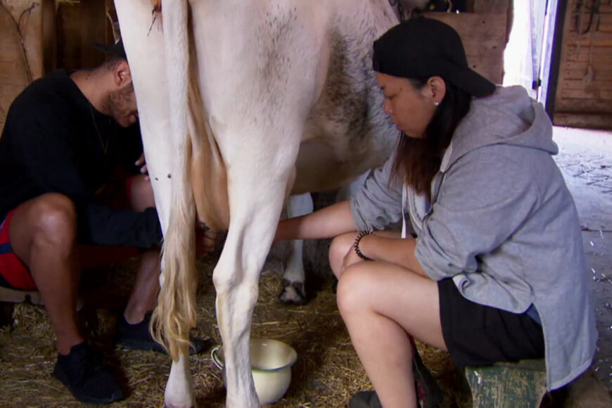 Telewizja Polsat poszukuje „Farmera Roku”. Ruszył casting do nowego reality show