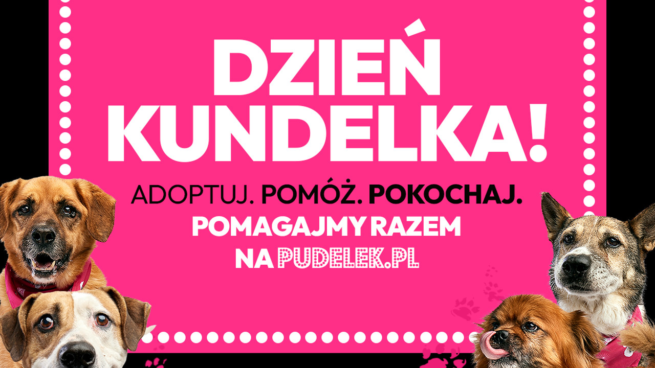 Dzień Kundelka