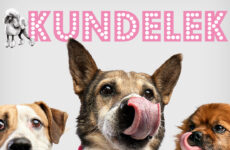 Pudelek.pl zmienia nazwę na „Kundelek”