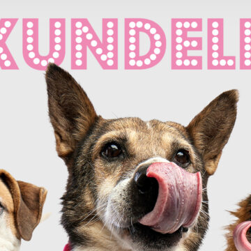 Pudelek.pl zmienia nazwę na „Kundelek”