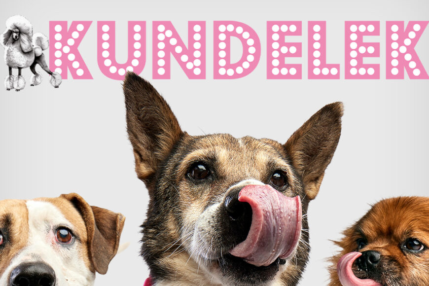 Pudelek.pl zmienia nazwę na „Kundelek”